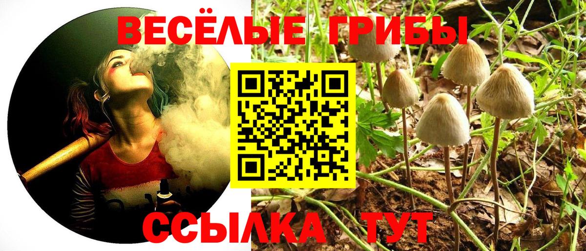 Псилоцибиновые грибы MAGIC MUSHROOMS Конаково