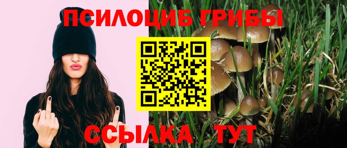 Конаково  Псилоцибиновые грибы Cubensis  Вход с VPN  Галлюциногенные грибы мицелий 